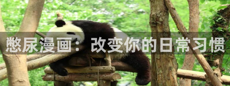漫漫漫画免费版在线阅读网页