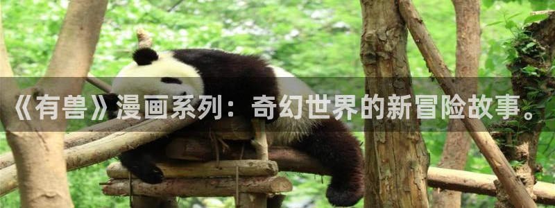 好漫漫漫画网页入口