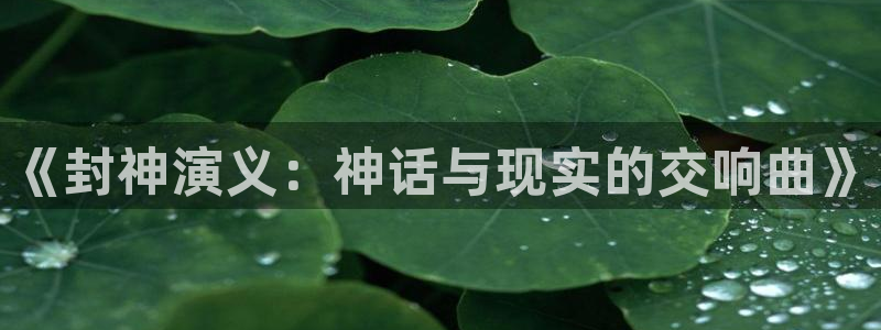 漫漫漫画在线阅读页面免费