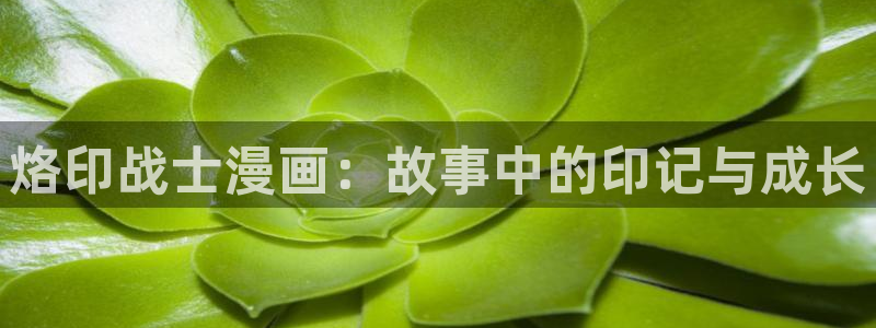 漫漫漫画下载安装 app