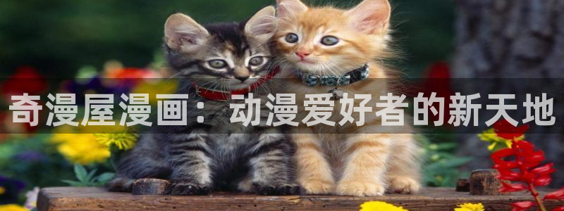 路漫漫漫画